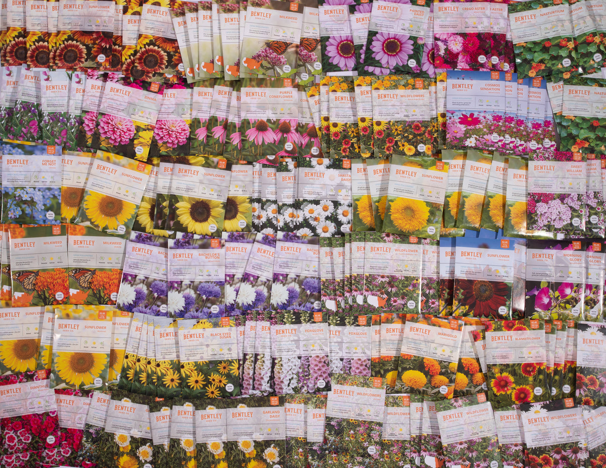 Bulk 2000 Piece Assorted Vegetable, Herb and Flower Seed Packets garden seeds