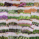 Bulk 2000 Piece Southern Region Assorted Vegetable, Herb and Flower Seed Packets