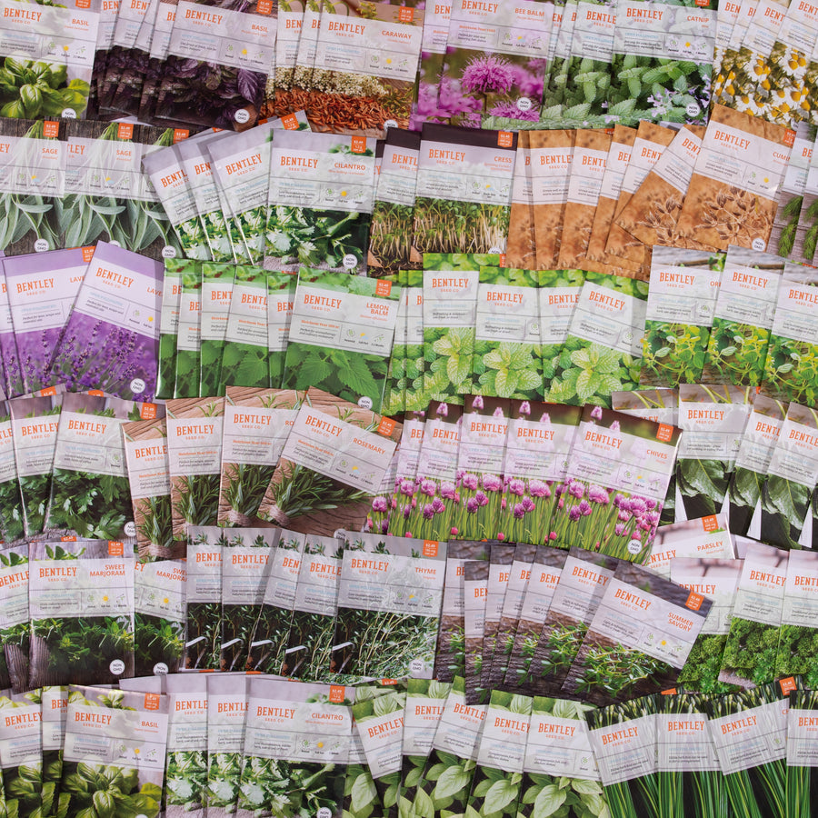 Bootless Packet Bulk Seed Packets | Wholesale Vegetable, Herb & Flower Seeds – Bentley ...