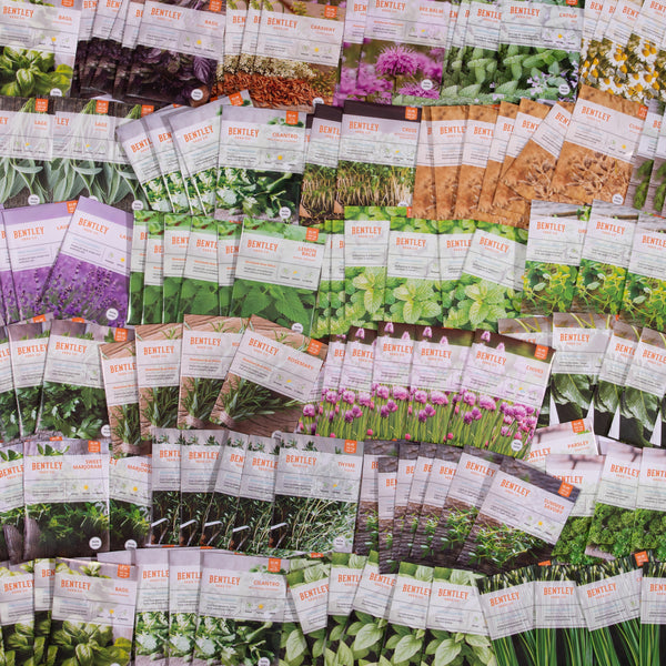 Bulk Seed Packets for Retail Display Racks | Bentley Seeds
