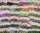 Bulk 2000 Piece Assorted Vegetable, Herb and Flower Seed Packets