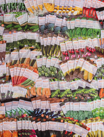 Bulk 500 Piece Assorted Vegetable, Herb and Flower Seed Packets flower seeds