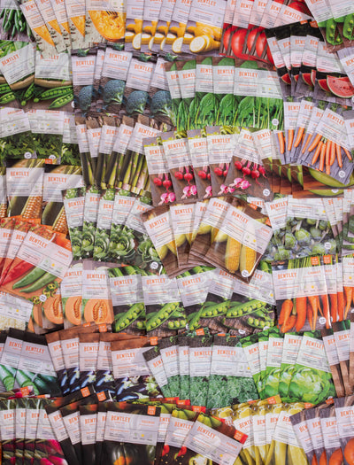 Bulk 500 Piece Assorted Vegetable and Herb Seed Packets garden seeds