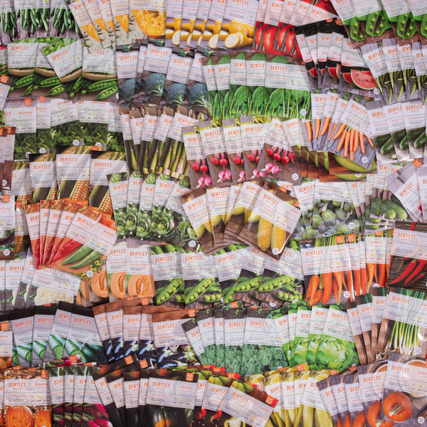 Bulk 250 Piece Vegetable Seed Packets | Bentley Seeds