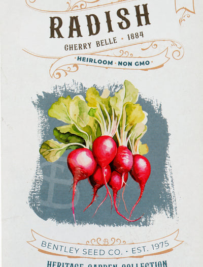 Front of heirloom Cherry Belle Radish seed packet.