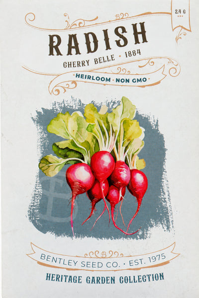 Front of heirloom Cherry Belle Radish seed packet.