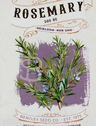Front of heirloom Rosemary-500 BC seed packet.
