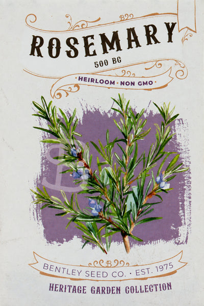 Front of heirloom Rosemary-500 BC seed packet.