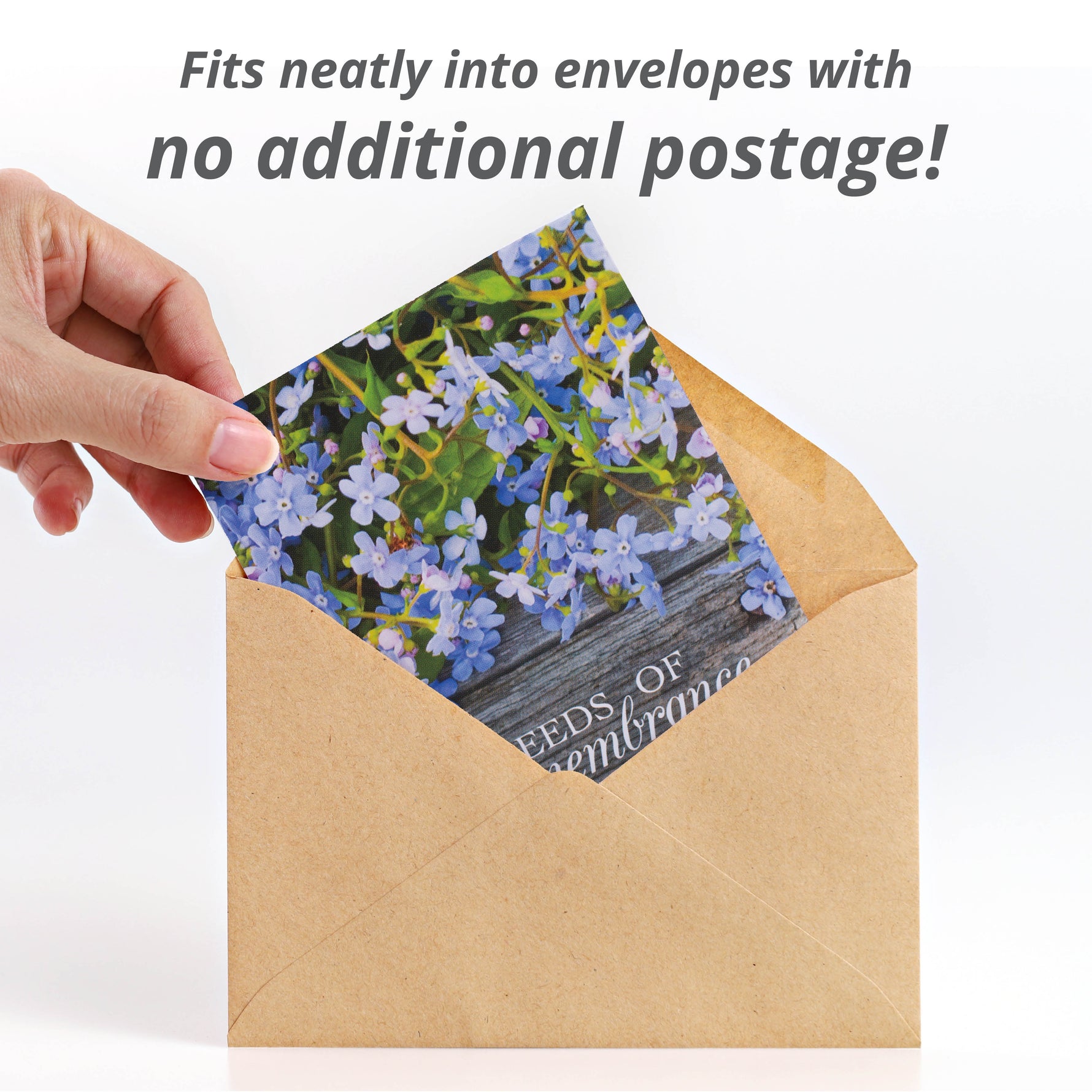 flower seed packets for funerals Seeds of Remembrance Memorial - Forget Me Not Seed Packets