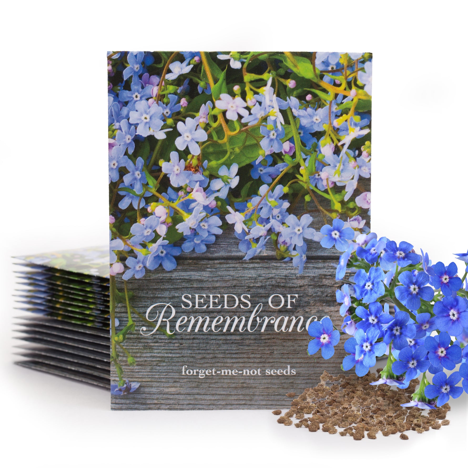 forget me not flower seeds for sale Seeds of Remembrance Memorial - Forget Me Not Seed Packets