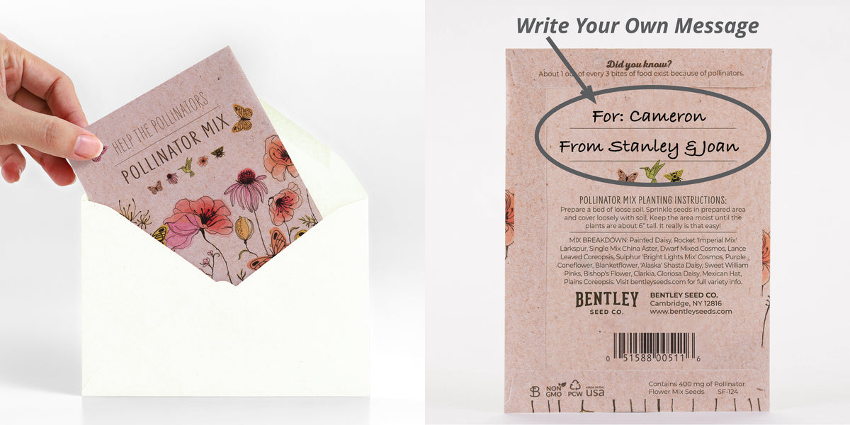 Bulk 250 Piece Butterfly Special Occasion Favor Seed Bulk Seed Packet Cards - Bentley Seeds - Write a personalized message on the back