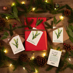 We Wish You a Merry Christmas Card Gift Tag flower seeds