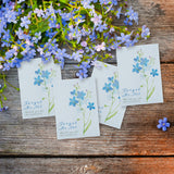 Thank You for the Memories with Forget Me Not Seed Favor Packets - Bentley Seeds
