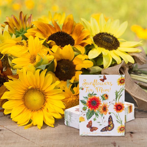 Sunflowers For Mom - All Sorts Sunflower Seed Packets | Bentley Seeds