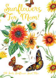 370 Piece Special Occasion Seed Packet Retail POS Corrugated Display and Envelopes garden seeds