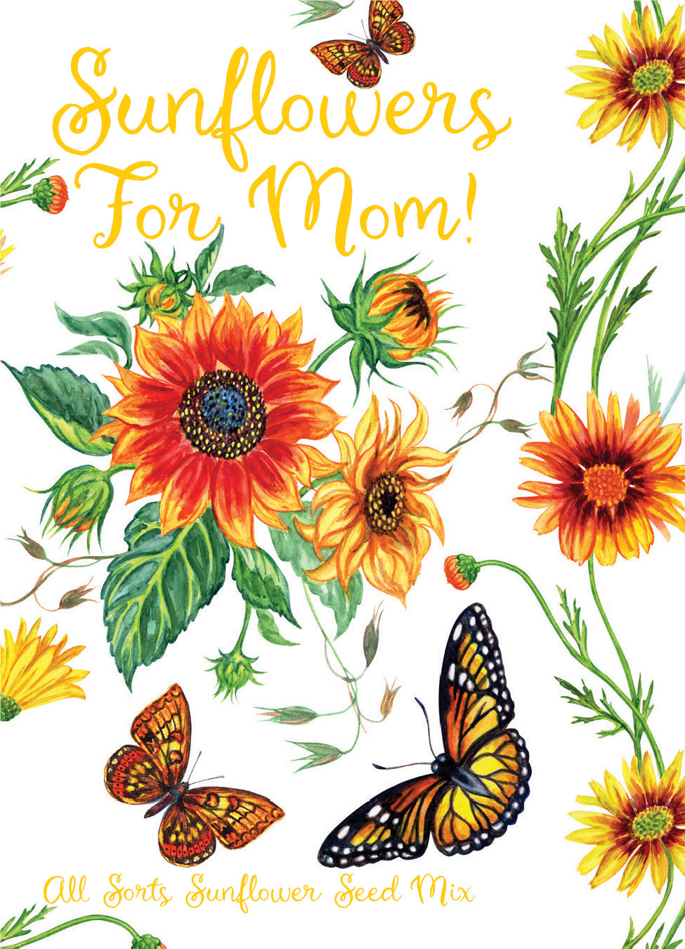 370 Piece Special Occasion Seed Packet Retail POS Corrugated Display and Envelopes garden seeds
