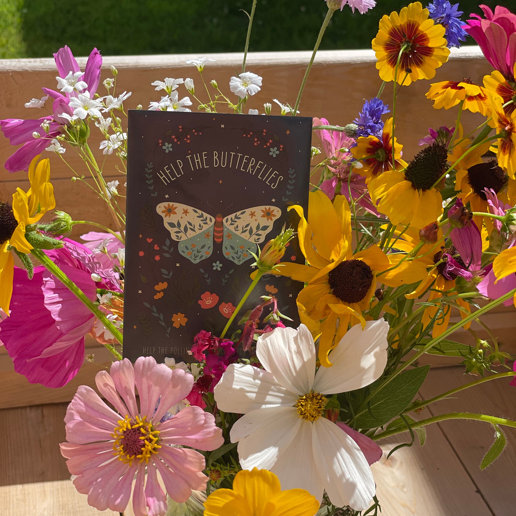 seeds for butterfly garden Help Butterflies Help Pollinators