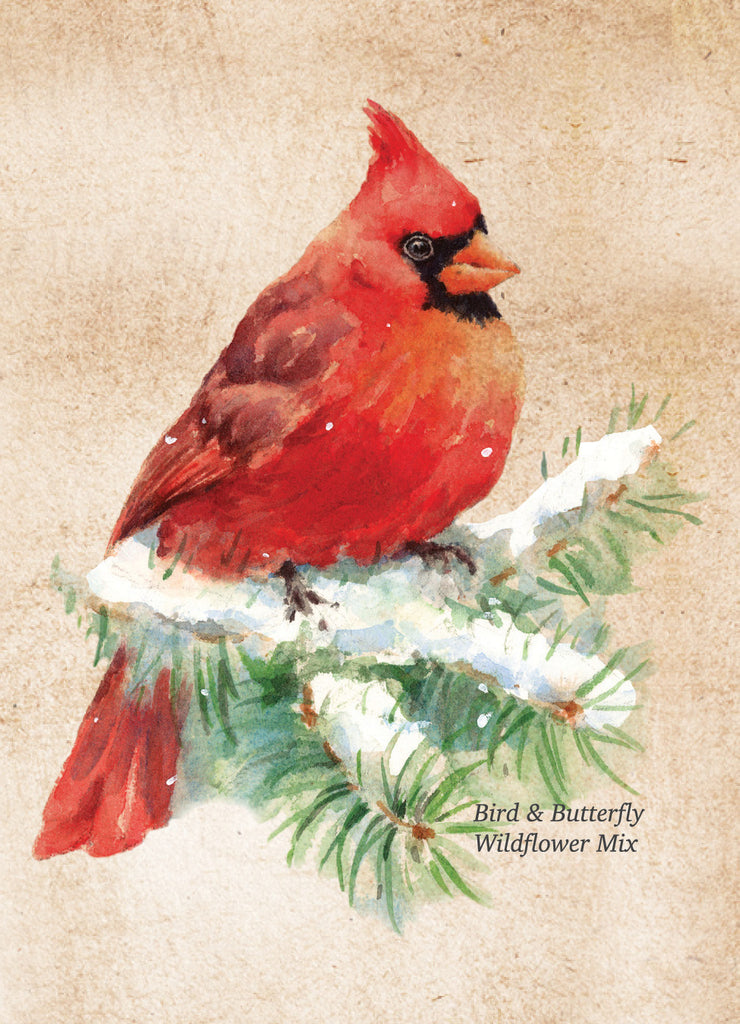Snowy Cardinal Happy Holidays Gift Tag - Bird & Butterfly Wildflower Mix Seed Packets