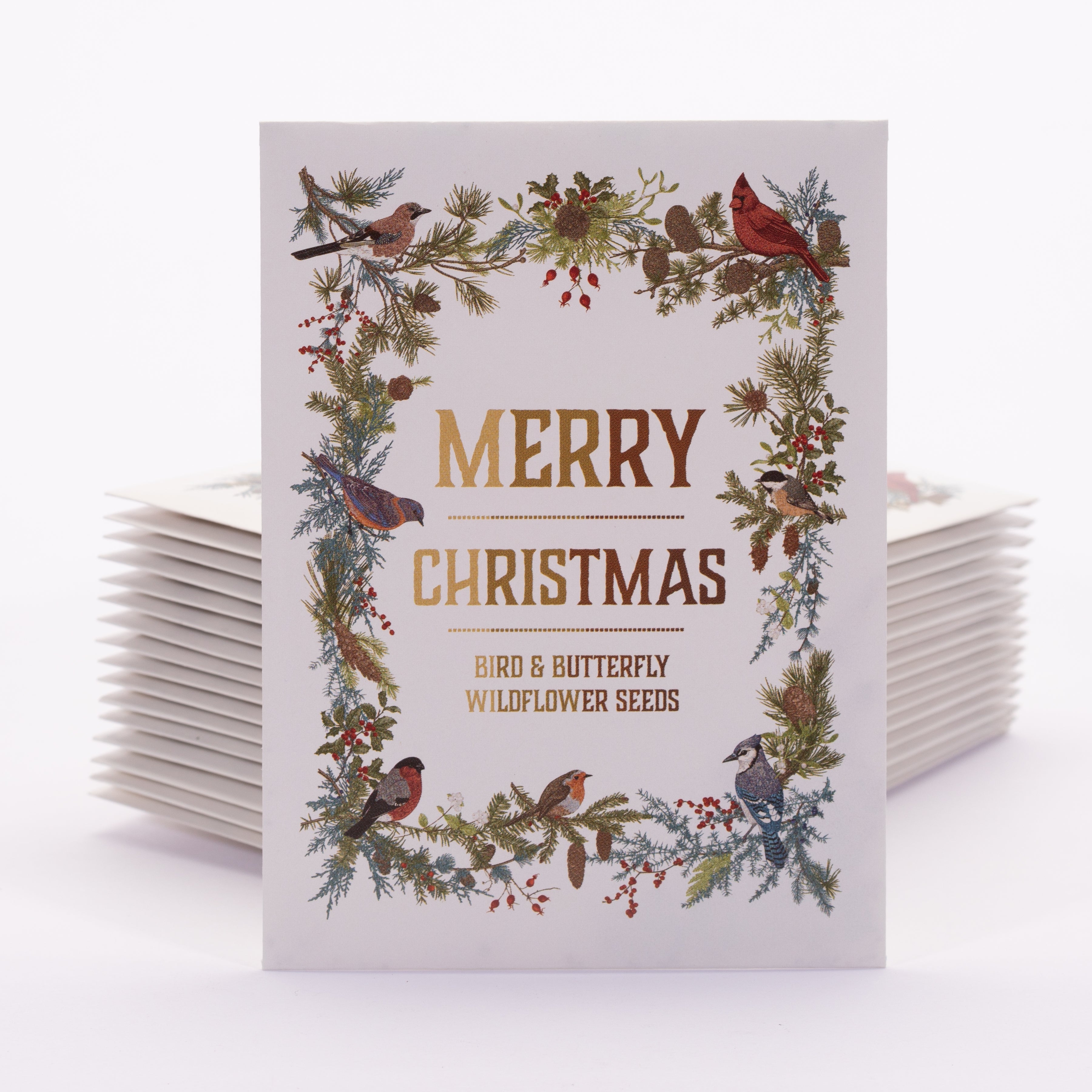 Merry Christmas Wreath of Birds Gift Tag - Bird & Butterfly