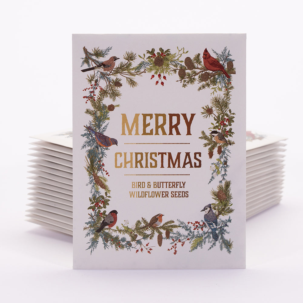 christmas cards with wildflower seeds Bulk 250 Piece Holiday and Christmas Special Occasion Favor Seed Seed  Packet Cards