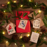 Bulk 250 Piece Holiday and Christmas Special Occasion Favor Seed Seed Packet Cards