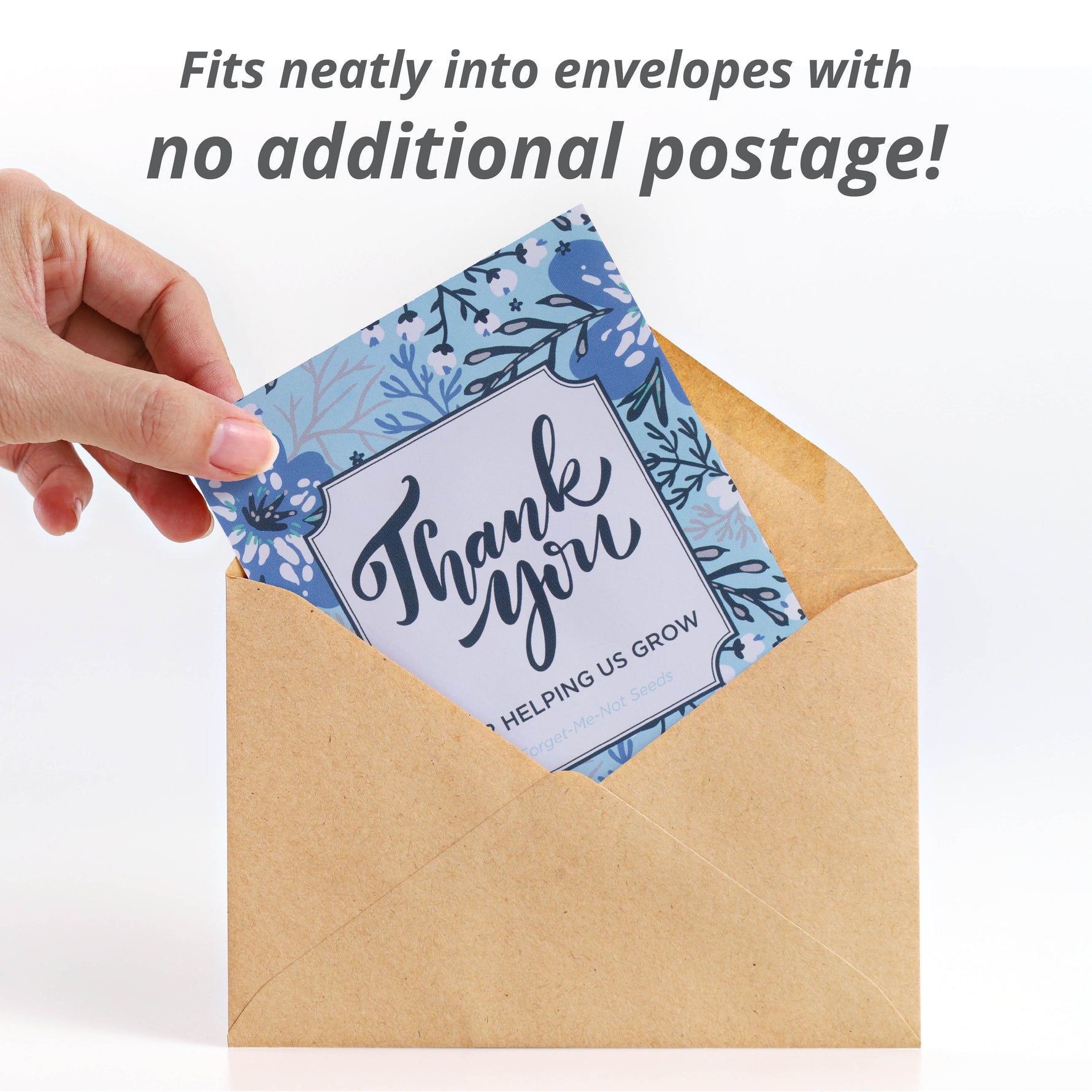 flower seeds mail order Help Us Grow Forget Me Not