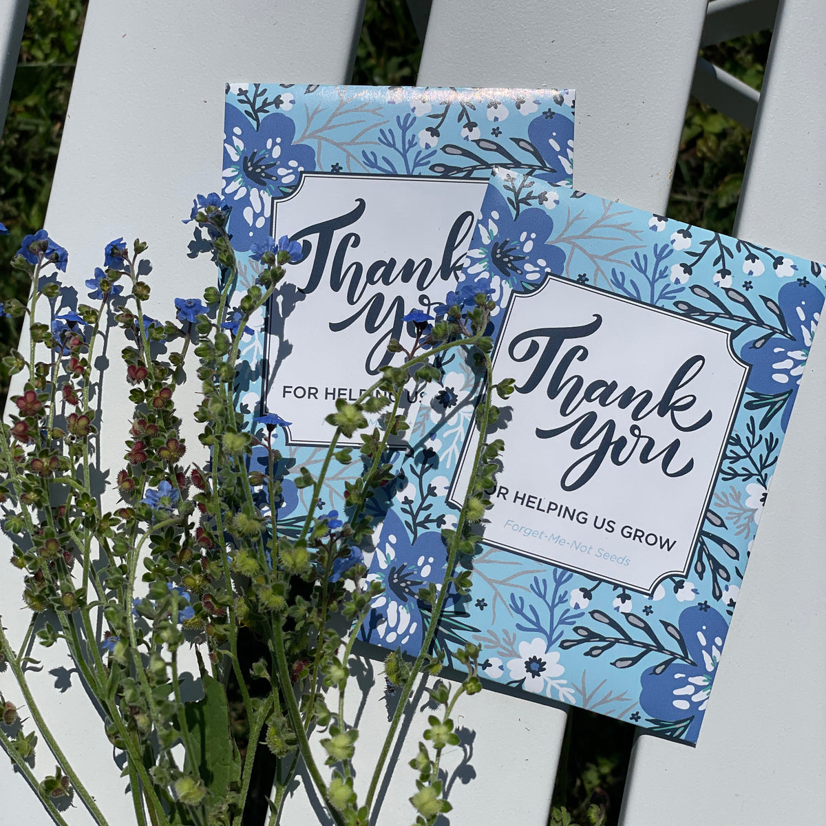 Help Us Grow Forget Me Not flower seeds