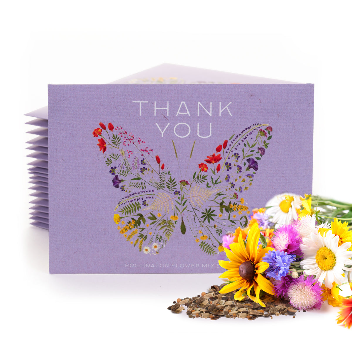 Thank You Butterfly Pollinator - Pollinator Flower Mix Seed Packets - Bentley Seeds