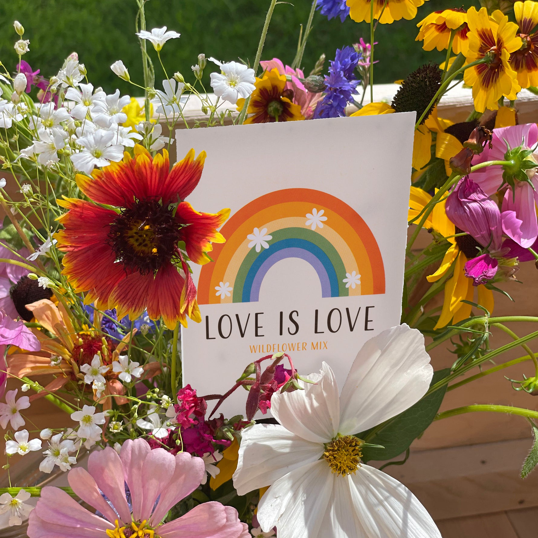 Love is Love Rainbow - Wildflower Mix Seed Packets