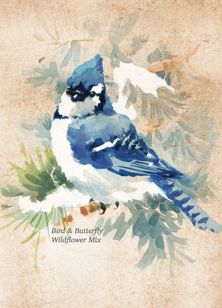 Snowy Blue Jay Happy Holidays Gift Tag Card - Bird & Butterfly Wildflower Mix Seed Packets