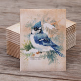 Snowy Blue Jay Happy Holidays Gift Tag Card - Bird & Butterfly Wildflower Mix Seed Packets