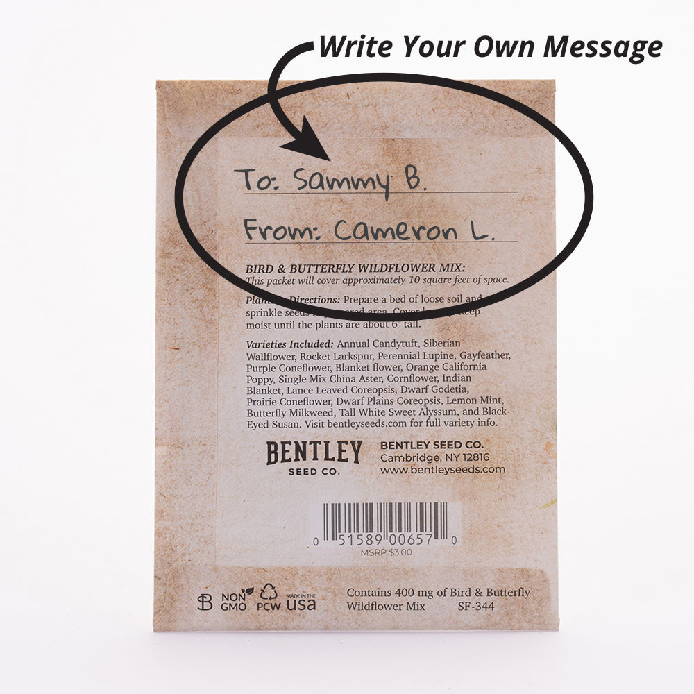 Bulk 250 Piece Holiday and Christmas Special Occasion Favor Seed Seed Packet Cards seed packet
