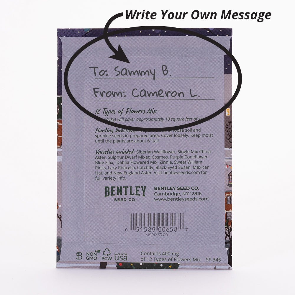 Twas the Night Before Christmas Gift Tag Card seed packet