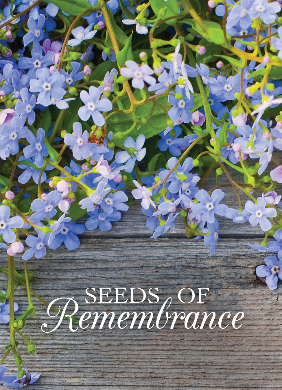 Personalized Seed Packets - Seeds of Remembrance Memorial - Blue Flax Seed Packets