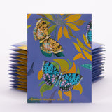 Sunflower Blue/Yellow Butterflies - Mammoth Sunflower Seed Packets