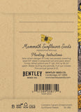 Congratulations Warm Mammoth Sunflower Seed Packets - Bentley Seeds