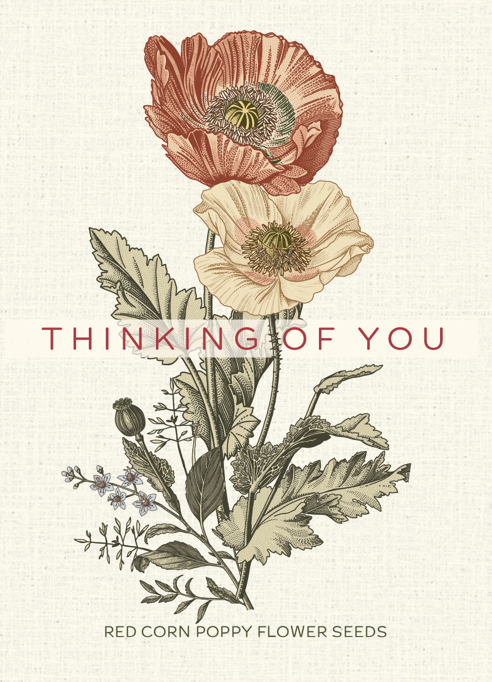 Thinking of You Classic Vintage Art flower seeds