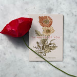 Thinking of You Classic Vintage Art flower seeds