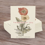 Thinking of You Classic Vintage Art flower seeds