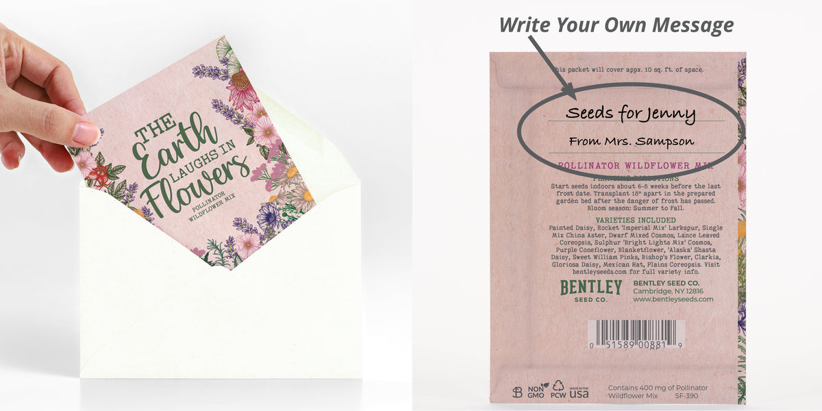 250 Piece Earth Day Favor Seed Packet Retail POS Corrugated Display seed packet