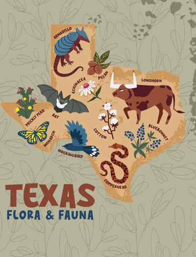 Map of Texas with illustrations of flora and fauna on a textured background