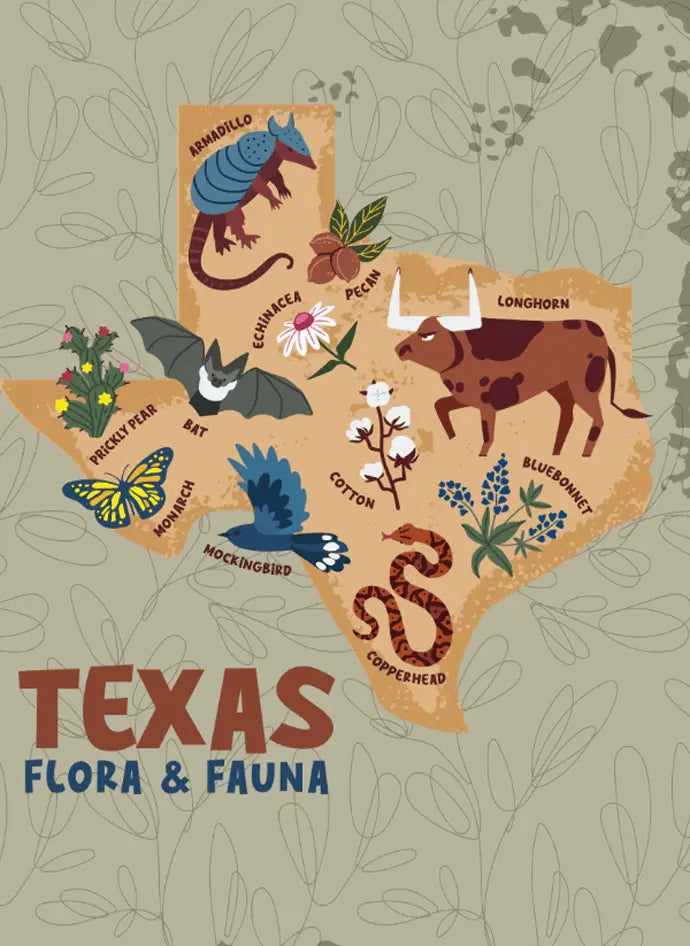 Map of Texas with illustrations of flora and fauna on a textured background