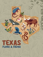 A colorful seed packet featuring a Map of Texas and local plant and wildlife.