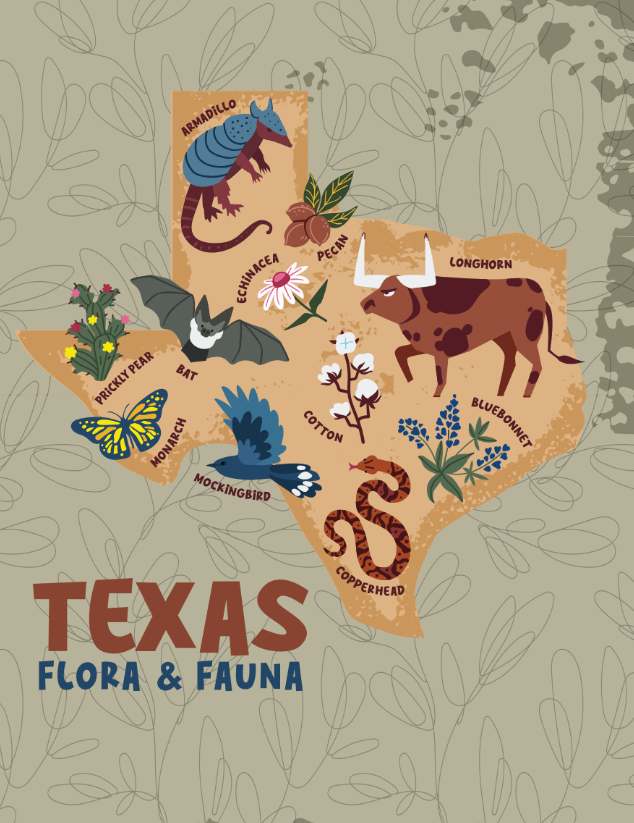 A colorful seed packet featuring a Map of Texas and local plant and wildlife.