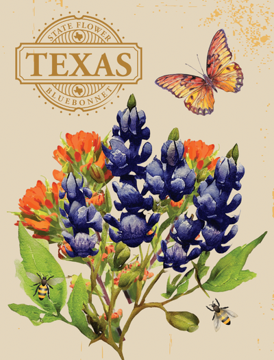 Texas Bluebonnet seed packet with light yellow background and an image of texas bluebonnet wildflowers, bees and a butterfly. 