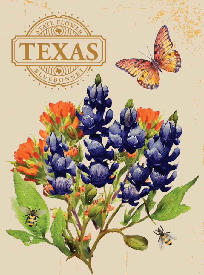 Texas Bluebonnet seed packet with light yellow background and an image of texas bluebonnet wildflowers, bees and a butterfly. 