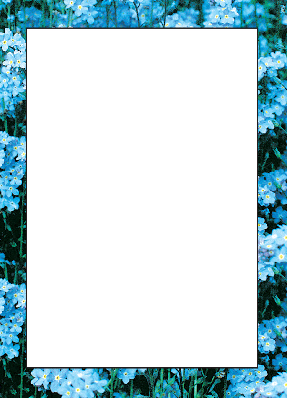 Personalized Seed Packets seed packet