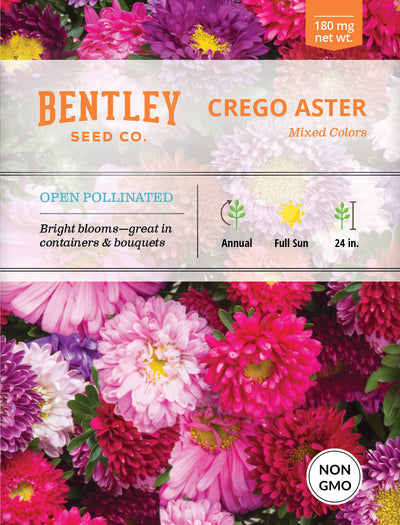 Aster, Crego Mixed Colors Seed Packets flower seeds