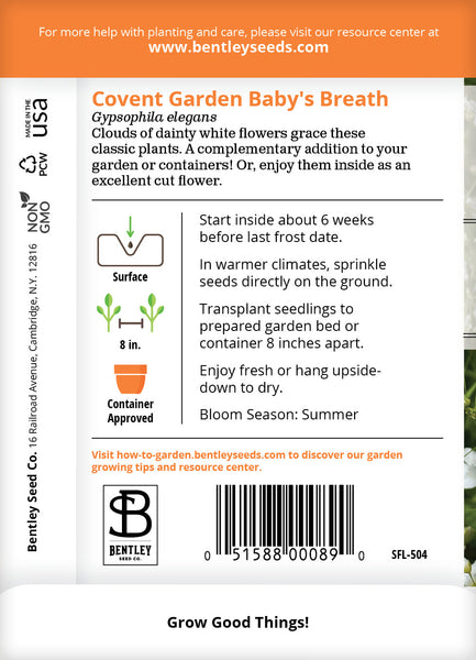 Bentley Seed Packets Baby's Breath