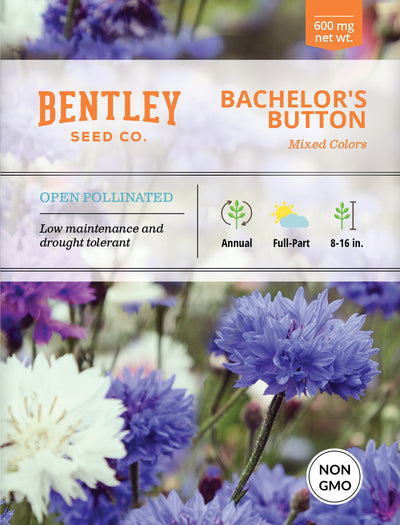 Bachelor's Button Flower Seed Packets flower seeds